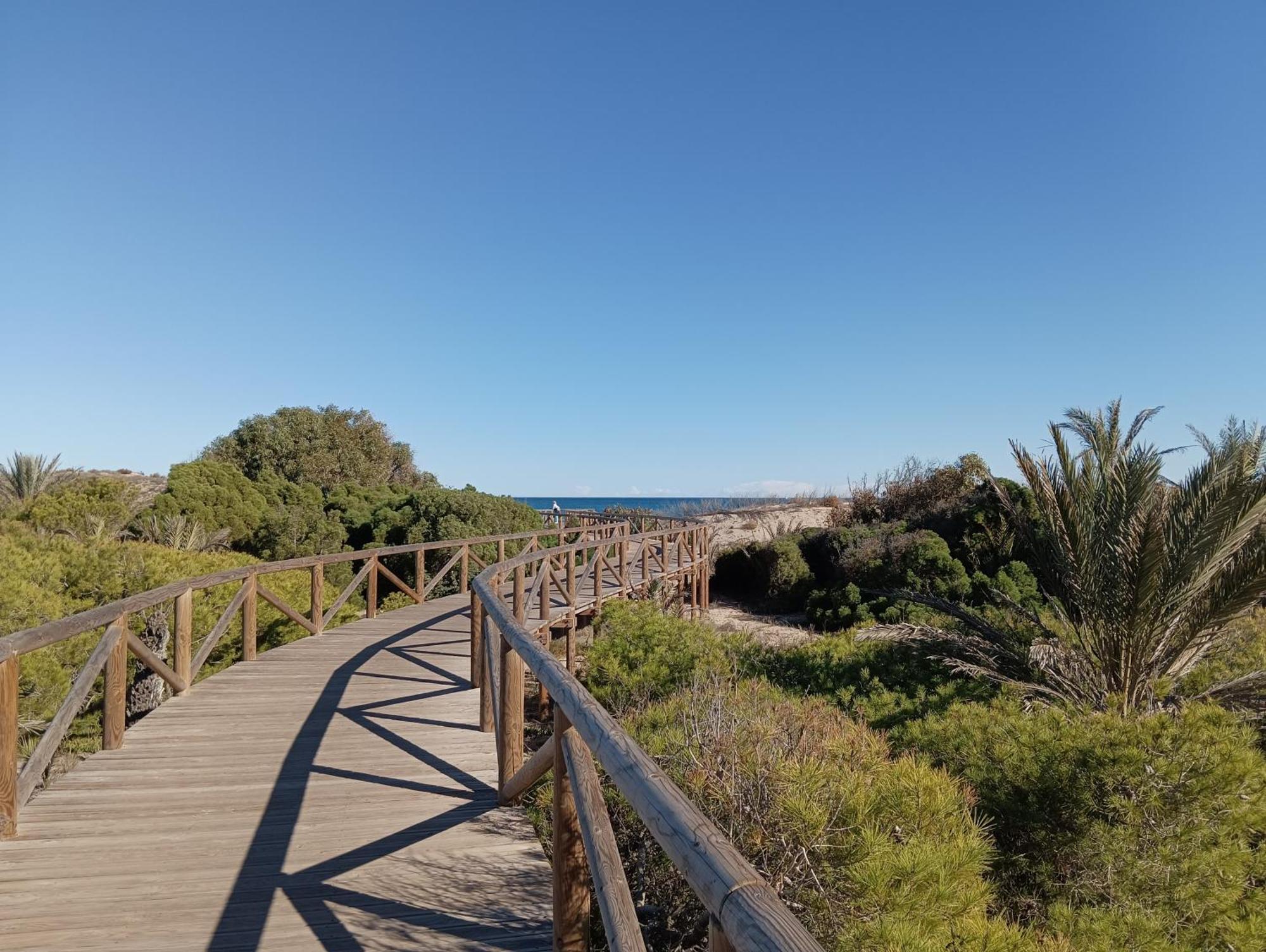 Bonito Apartamento 150 M De La Playa La Mata Ла-Мата Екстер'єр фото