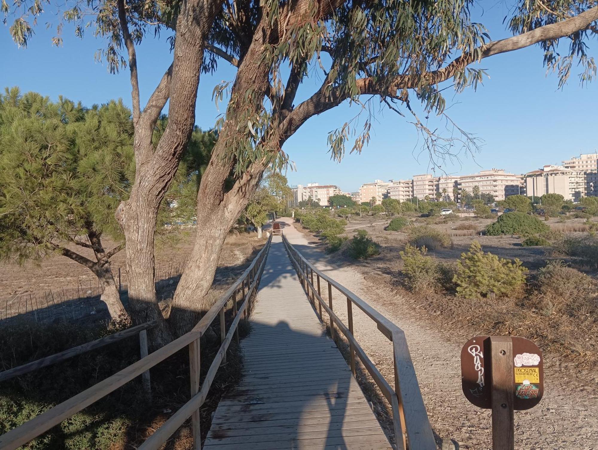 Bonito Apartamento 150 M De La Playa La Mata Ла-Мата Екстер'єр фото