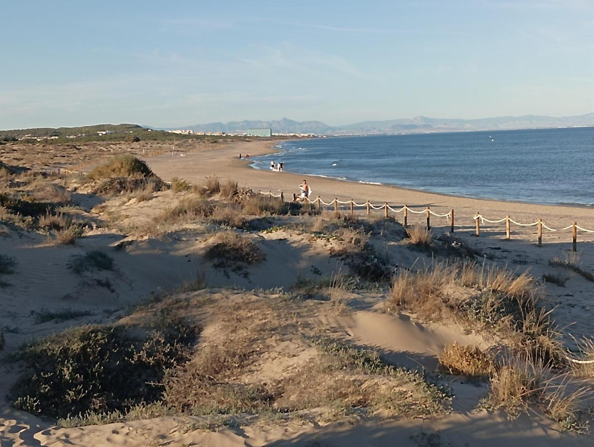Bonito Apartamento 150 M De La Playa La Mata Ла-Мата Екстер'єр фото