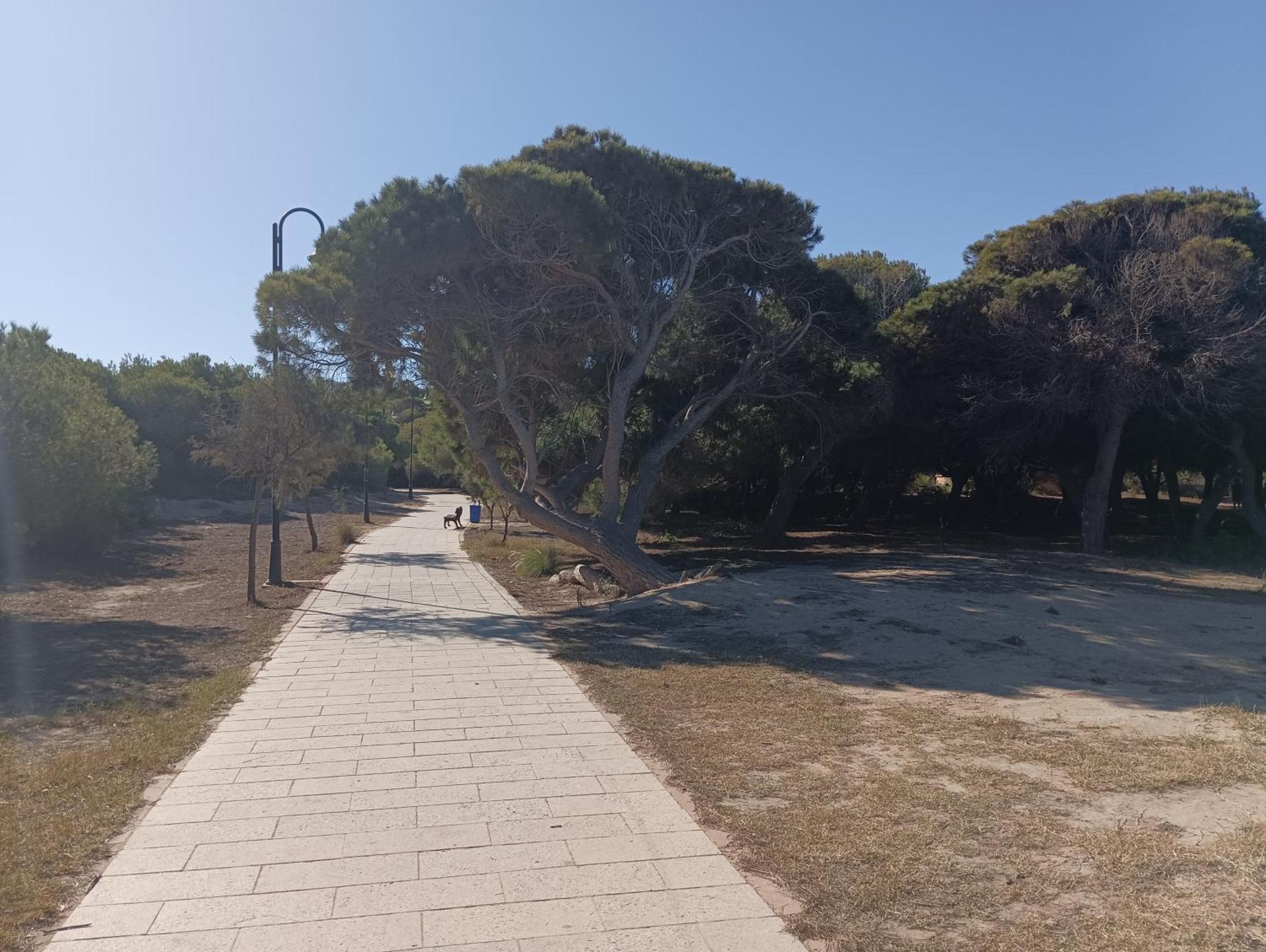 Bonito Apartamento 150 M De La Playa La Mata Ла-Мата Екстер'єр фото