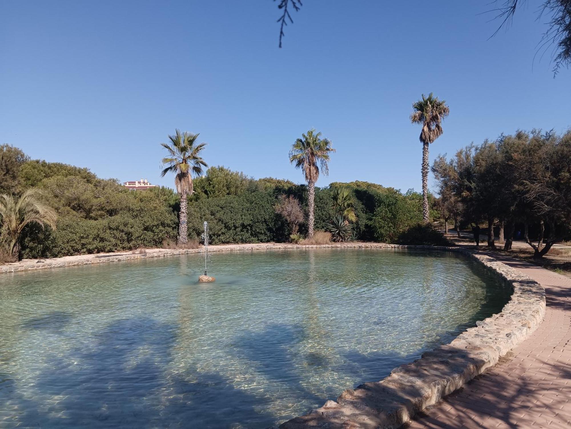 Bonito Apartamento 150 M De La Playa La Mata Ла-Мата Екстер'єр фото