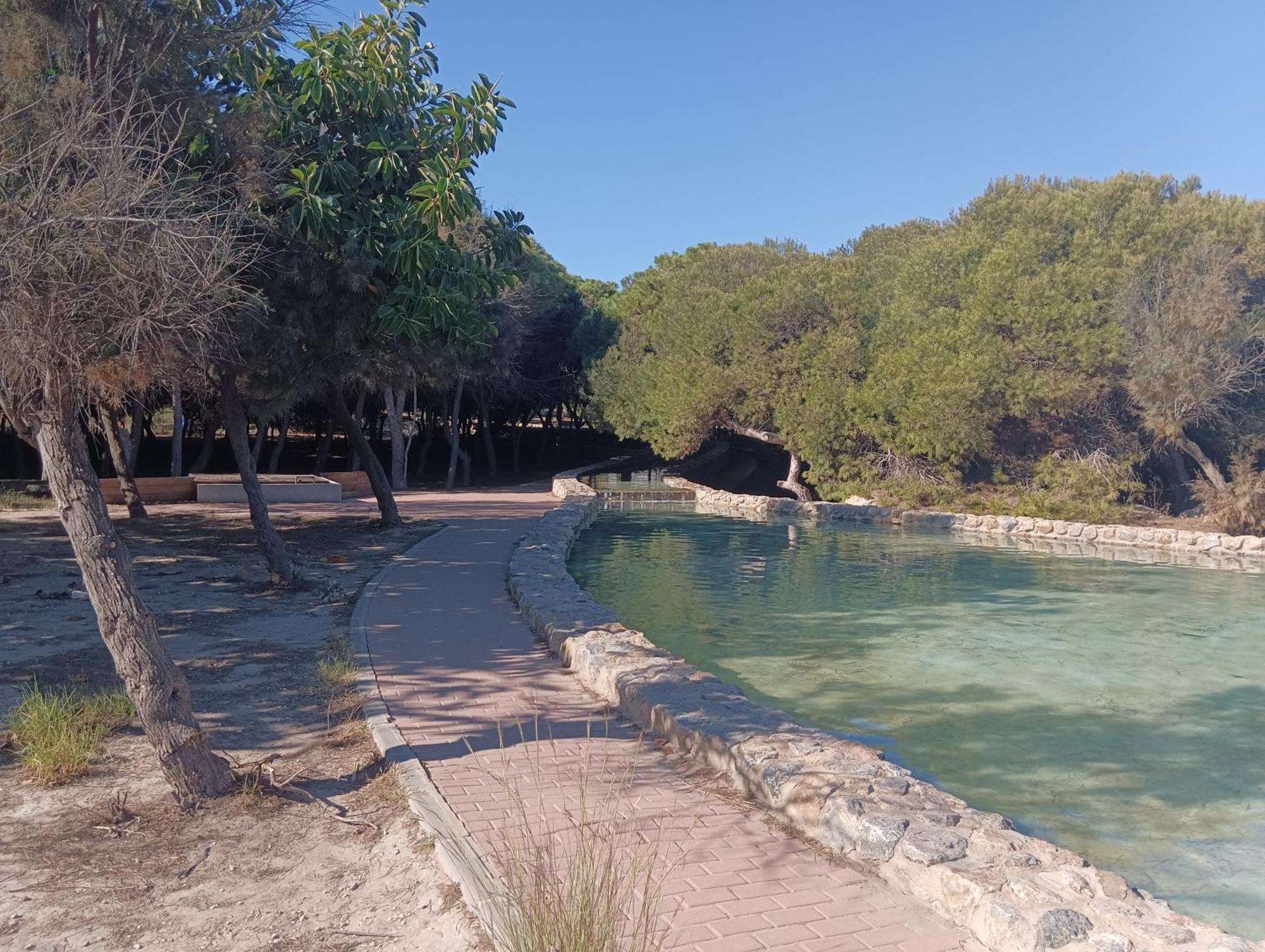 Bonito Apartamento 150 M De La Playa La Mata Ла-Мата Екстер'єр фото